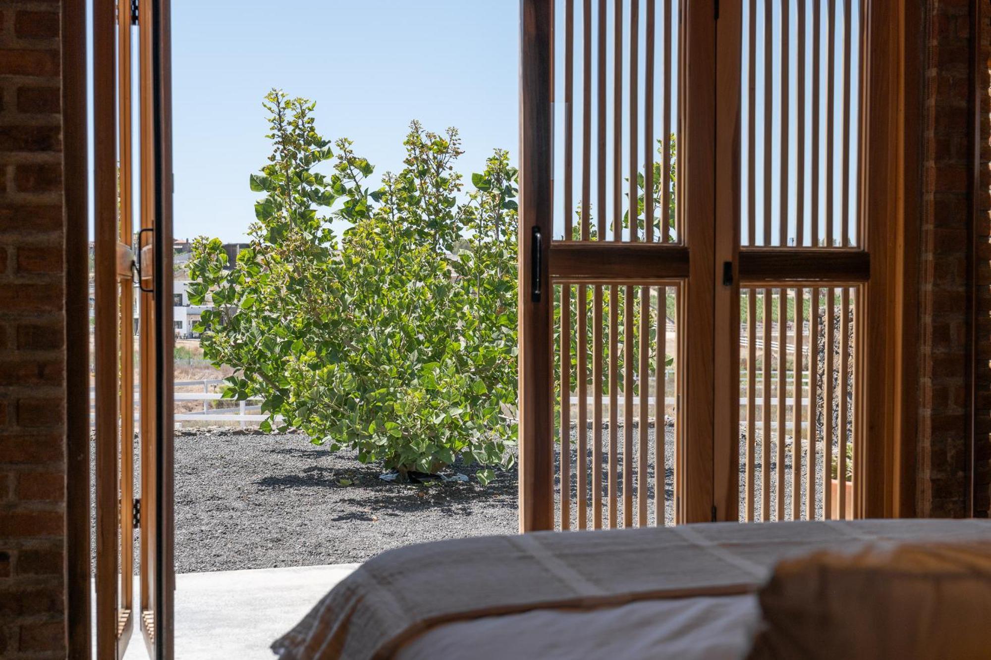 Sonoro Valle - Cabana 1 - Valle De Guadalupe Villa Ensenada Exterior photo